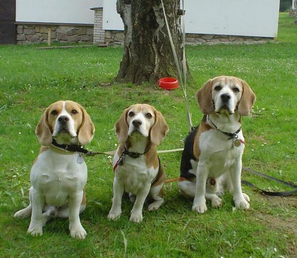 kliknutím zavřete okno