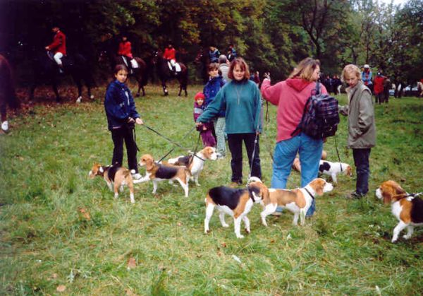 když už bude to vypuštění