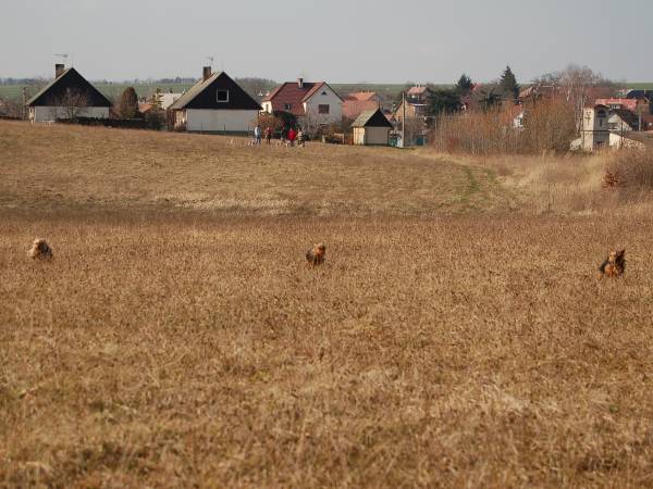 kliknutím zavřete okno