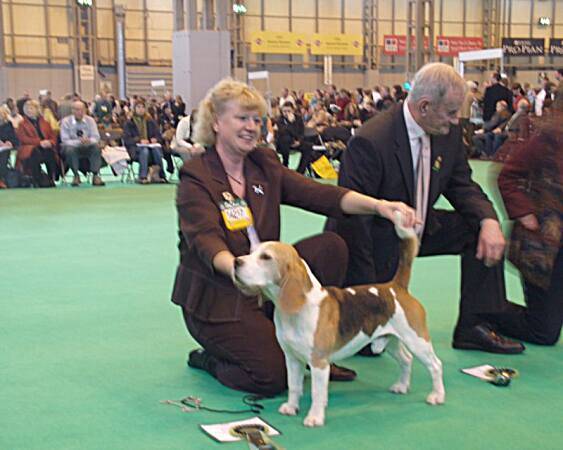 Best dog + Best of breed CH OB-LA-DIS FABLED ETIENNE NAVARRE 1