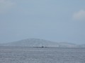 Kornati