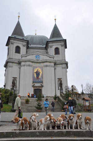 kliknutím zavřete okno